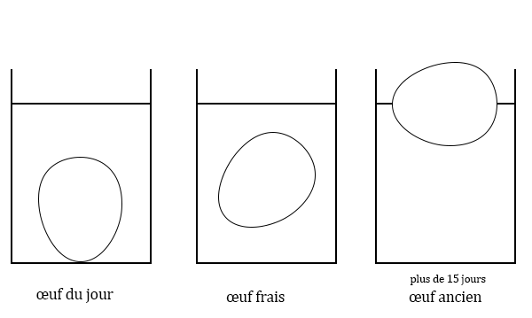 oeuf frais dans l'eau