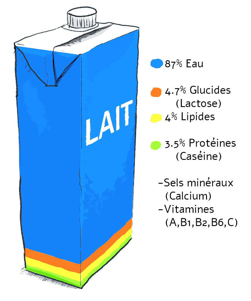 composition du lait Dessin de brique de lait
