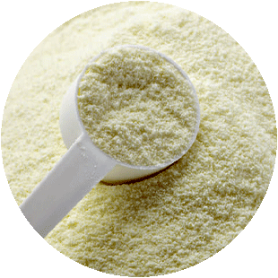 poudre_lait_dessication lait en poudre