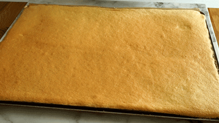 biscuit roulé pour buche de noël