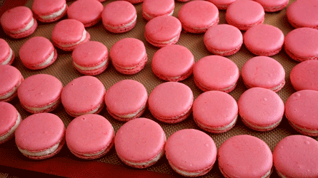 macarons_etape15 plaque de macarons finis