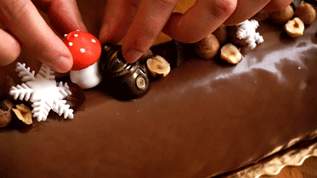 champignon en meringue et chocolat en décos sur bûche praliné